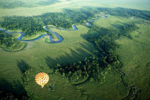 Masai mara - jedinstvena rezerva afričkog kontinenta